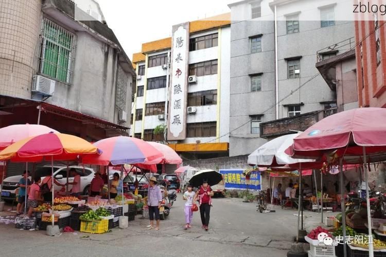 【阳春零感染记录：漠阳江畔的防疫地理样本】