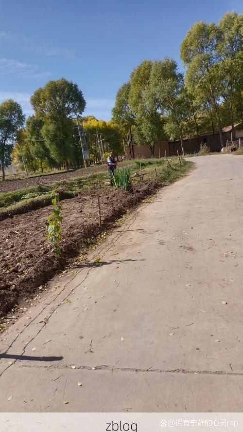 蒲城:关中旱塬上的疫情防线与破防时刻