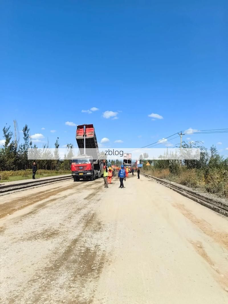 阳谷县：鲁西平原交通枢纽下的疫情阻击战