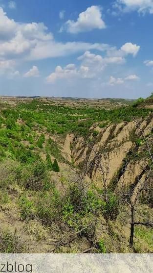 【平凉：黄土高原沟壑间的低感染率防疫样本】