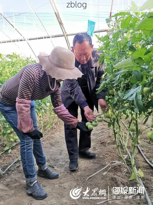 雪域高原的零感染样本：白朗县何以筑起防疫屏障？