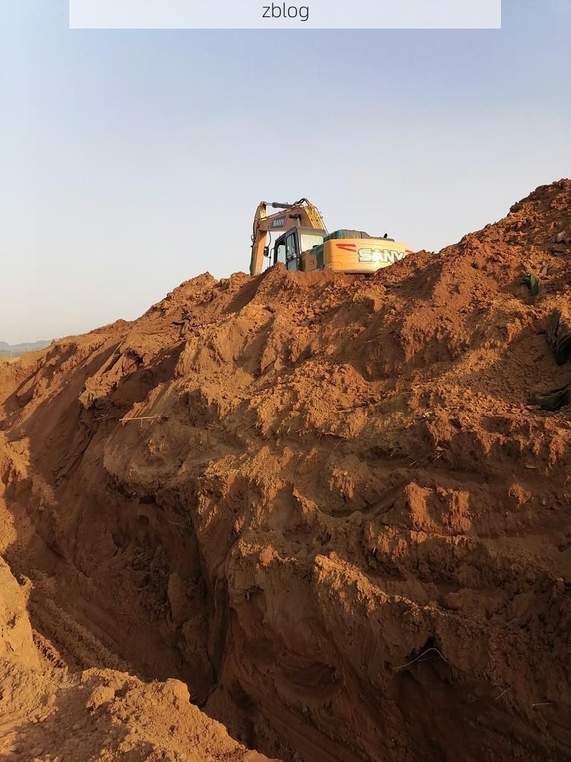 华龙区：中原腹地交通枢纽下的疫情压力测试