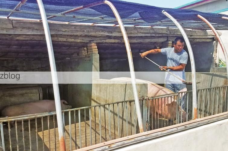 双辽：四平门户的交通枢纽防疫战_1891