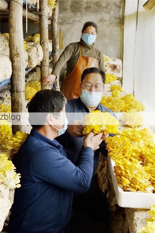 长白山下靖宇县:地理屏障如何构筑零感染防线