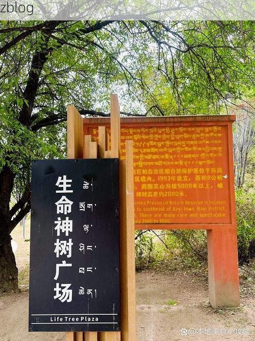 尤溪县:闽中林海屏障下的零感染坚守