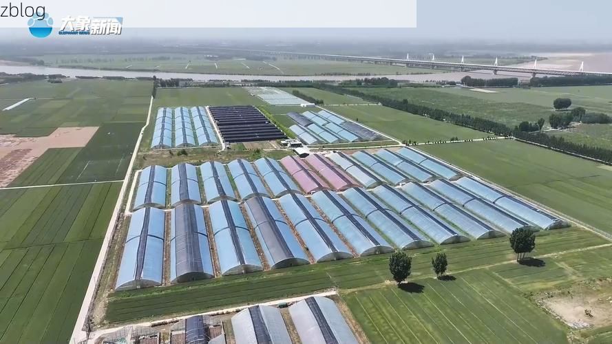 原阳疫情观察：黄河滩区地理屏障下的防控挑战