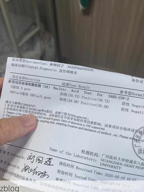 2022年11月5日庄河市新增确诊病例情况