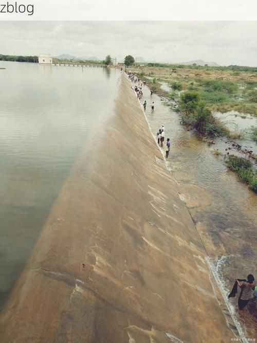 监利：江汉平原水网下的疫情防波堤_11159