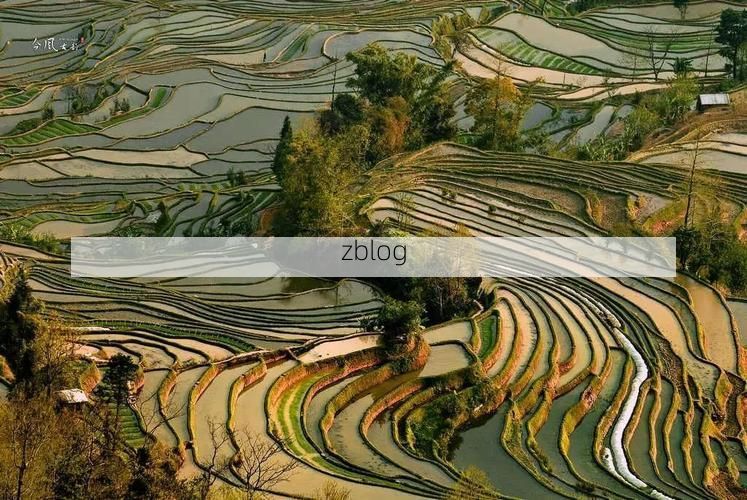 广丰防疫观察:丘陵腹地的隐匿传播与精准围堵_16552