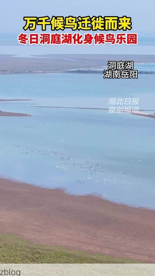 岳阳县:洞庭湖畔的防疫坚守与地理屏障