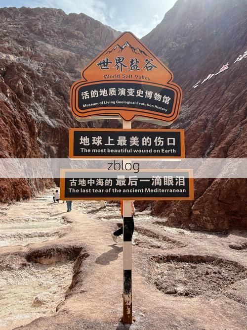 临泽绿洲的静默屏障：河西走廊腹地的零感染地理密码