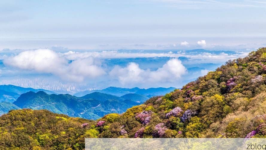 南川金佛山屏障下的疫情破防：一例输入引发的社区传播链解析