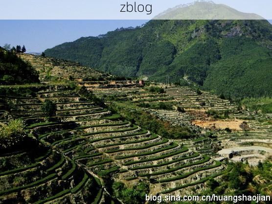 安溪茶山屏障下的零感染坚守：地理优势如何织密防疫网