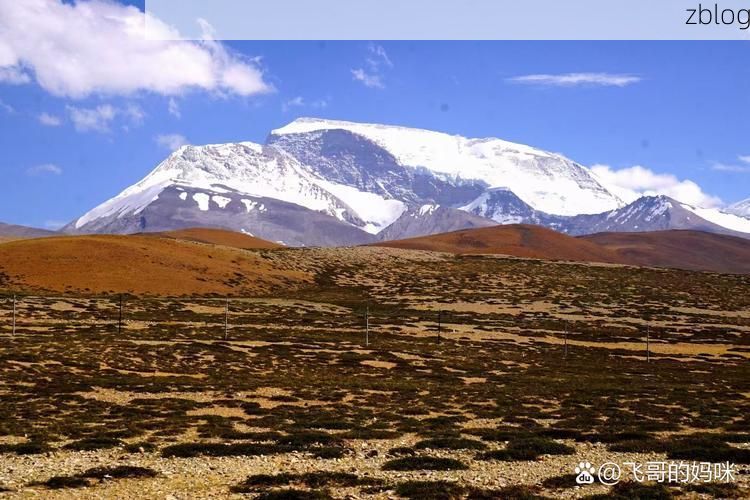 若羌：塔克拉玛干边缘的零感染绿洲何以可能？