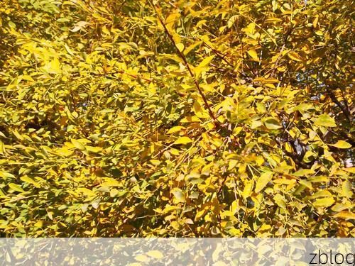 古塔区:辽西交通枢纽的疫情破防与围堵_21730