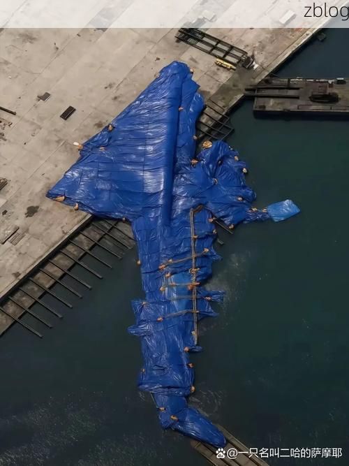 北仑港的防疫破口:沿海工业重镇遭遇病毒溯源挑战