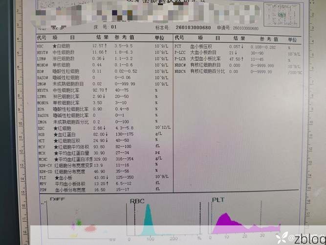 本地确诊+3,石泉县通报新增病例情况