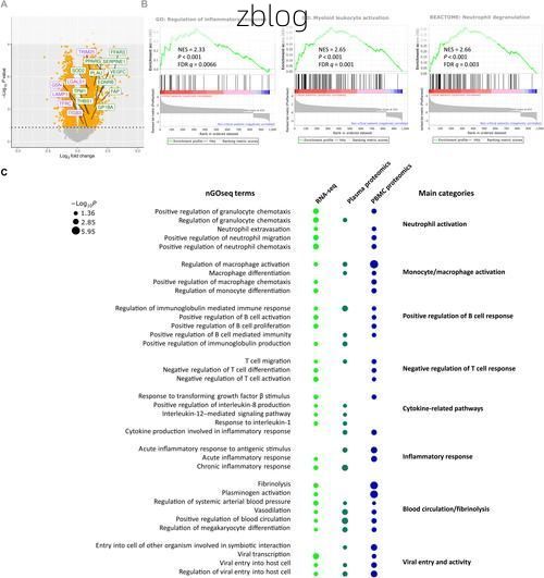 神农架原始屏障下的零感染样本：高海拔林区的防疫逻辑