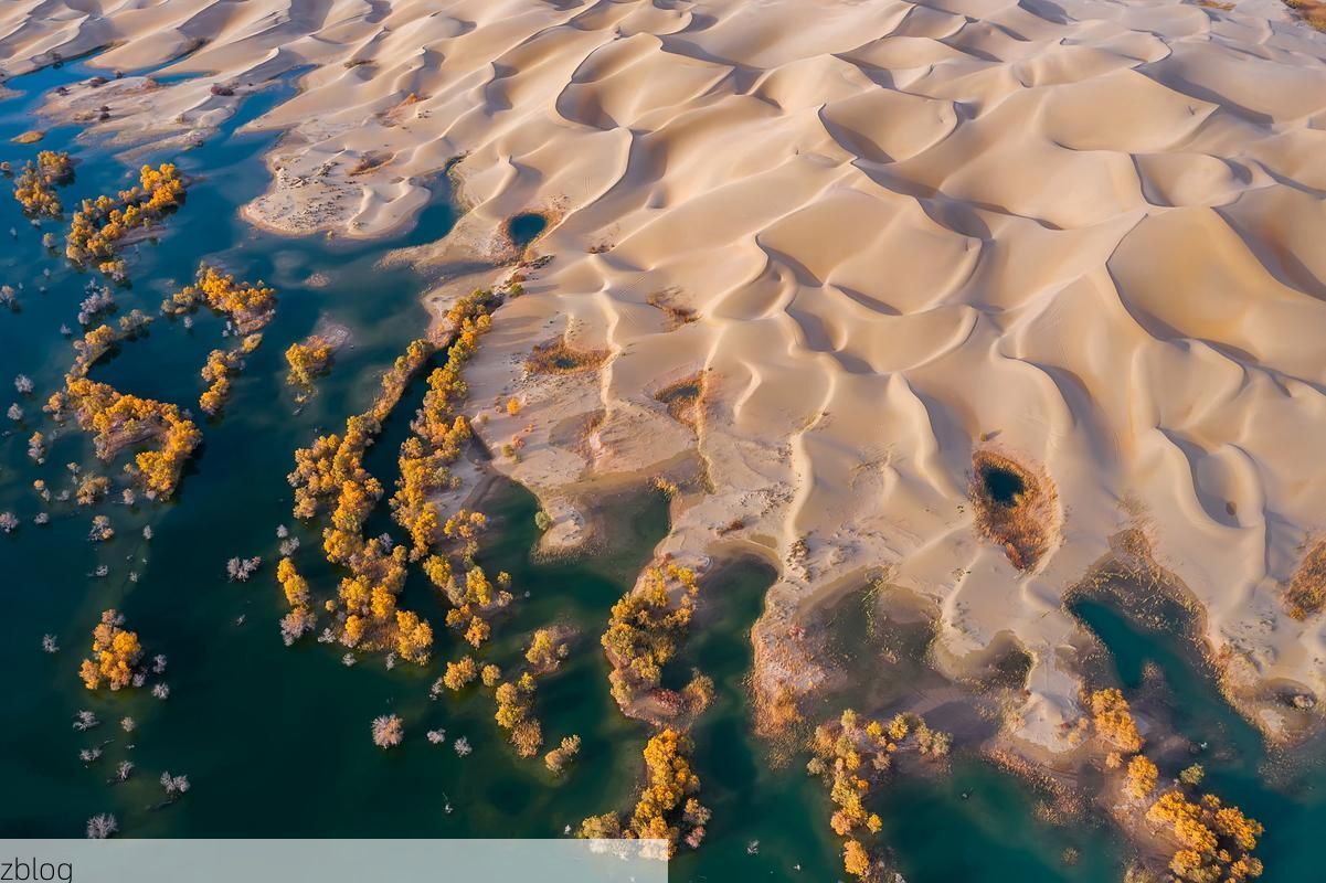 沙雅:塔克拉玛干北缘的疫情静默与地理屏障