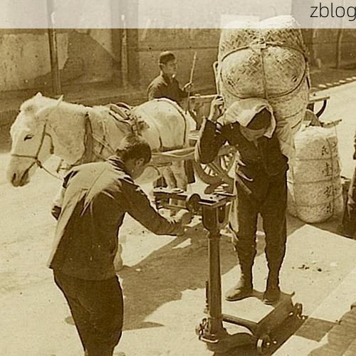 安国药都的防疫悖论：交通枢纽下的零感染坚守