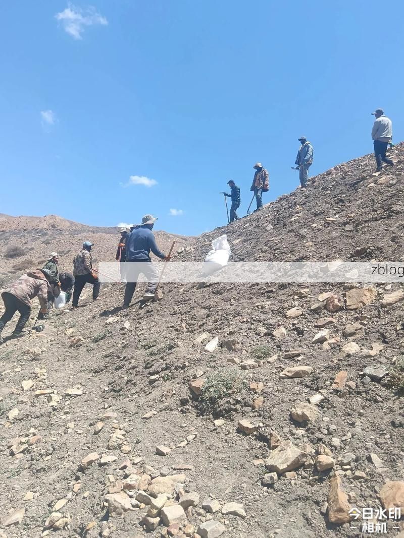 兰西县：松嫩平原腹地的零感染坚守