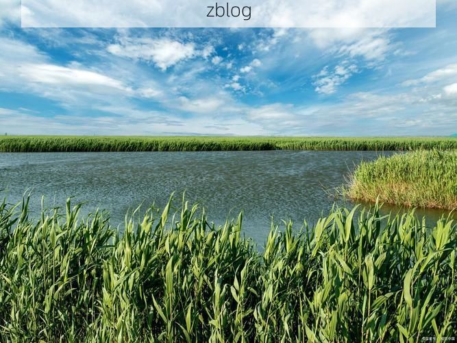 盘锦：辽河三角洲湿地的防疫地理屏障