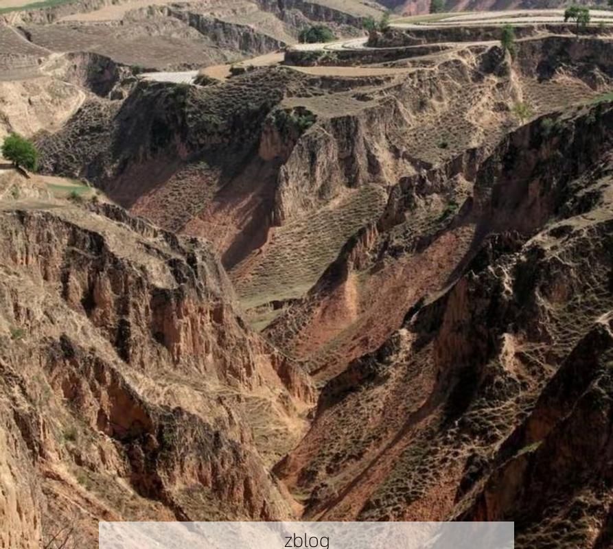 【镇原县:黄土高原沟壑区如何构筑疫情防线?_37472】