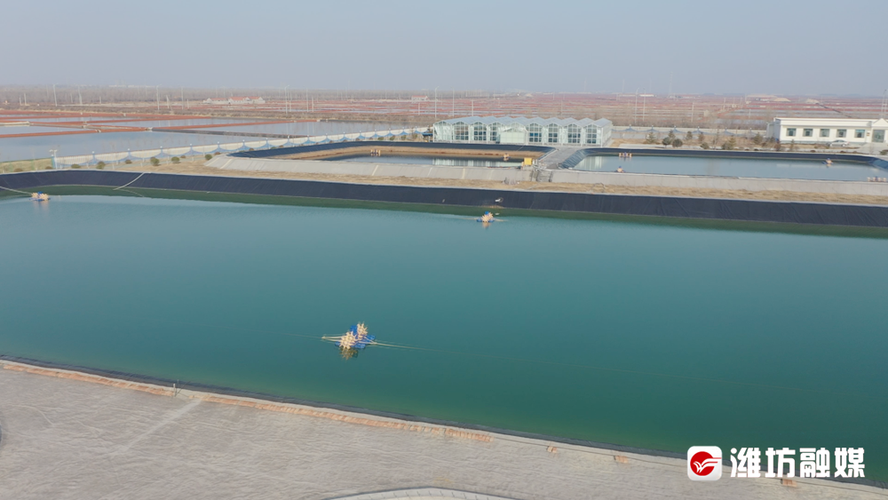 昌邑：渤海湾畔的防疫坚守与地理屏障解析