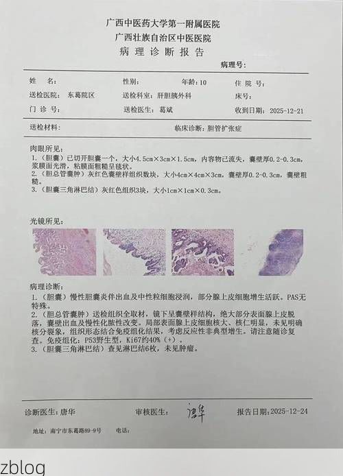 2022年11月8日合川区新增确诊病例情况