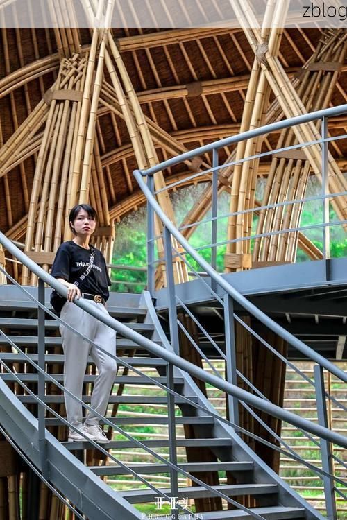 商南：秦岭生态屏障下的零感染坚守逻辑