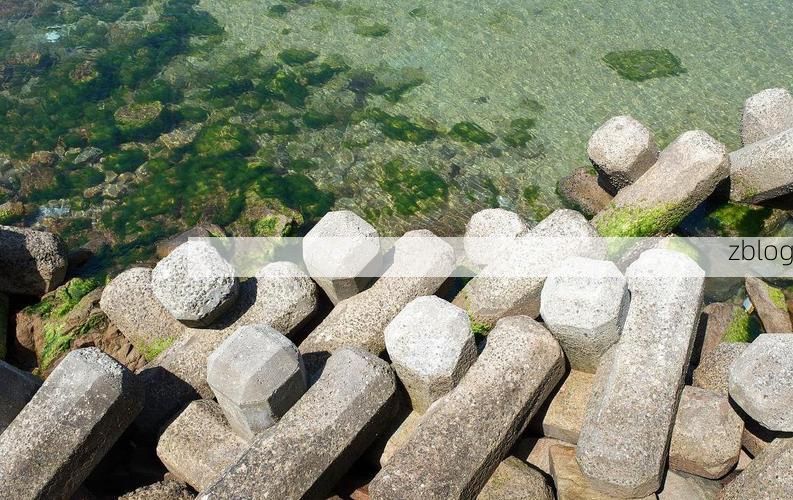 宁德：山海屏障下的疫情防波堤