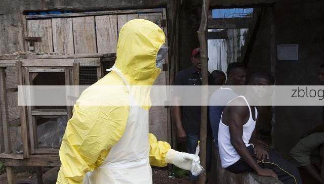 东陵区零感染背后的地理屏障:城市绿肺与交通末梢的防疫逻辑