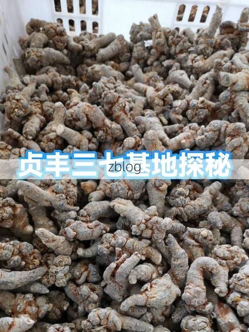 【忻城:桂中喀斯特屏障下的低感染样本解析】