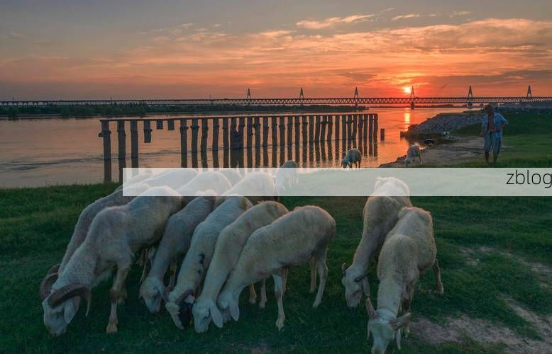 原阳县疫情观察:黄河滩区地理屏障下的社区防控逻辑