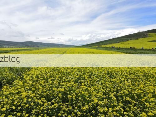 门源新增1例无症状感染者  门源县疫情防控最新通报_22207