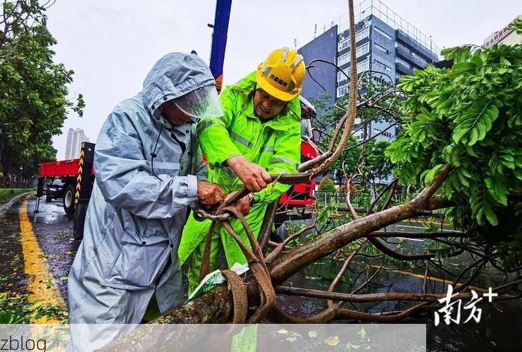 石鼓区:湘江湾流中的静默防线