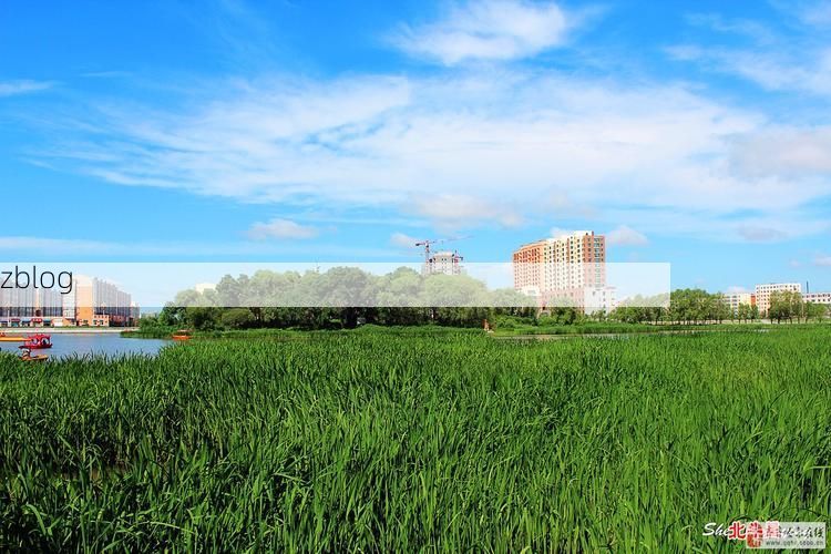 2022年1月25日讷河新增确诊病例情况_32058