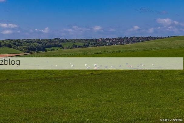阜新蒙古族自治县：草原与丘陵间的疫情防线