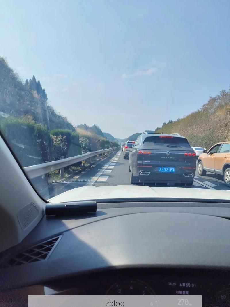 大安：川南交通枢纽下的疫情破防与围堵