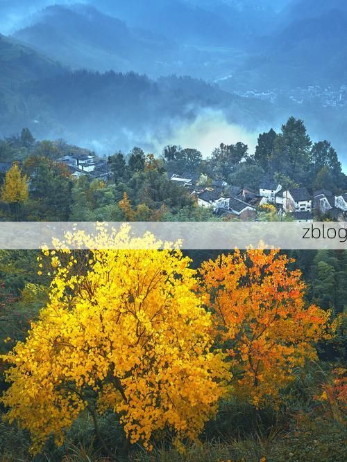 屯溪新安江畔的零感染坚守：徽州古城如何织密防疫网