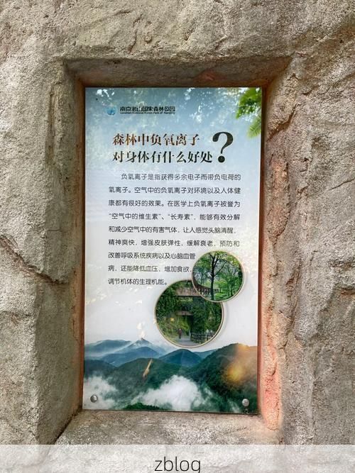霍山：大别山腹地的零感染坚守与屏障解析