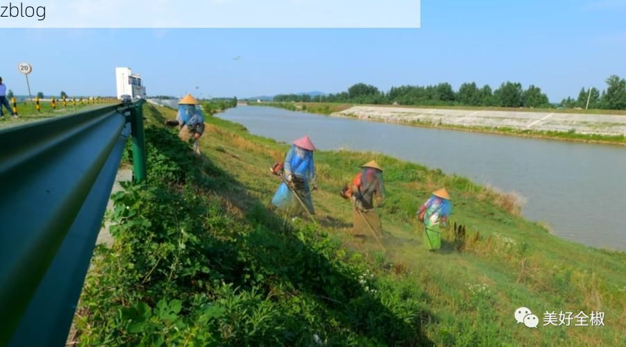 【全椒：滁河屏障下的疫情防线与破防时刻】