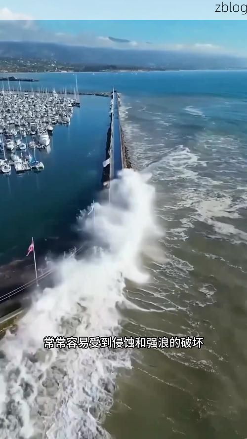 濠江：港口枢纽下的疫情防波堤