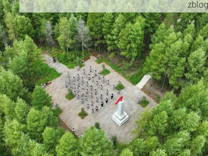 七台河茄子河区：东北工业走廊的疫情承压与社区防控样本