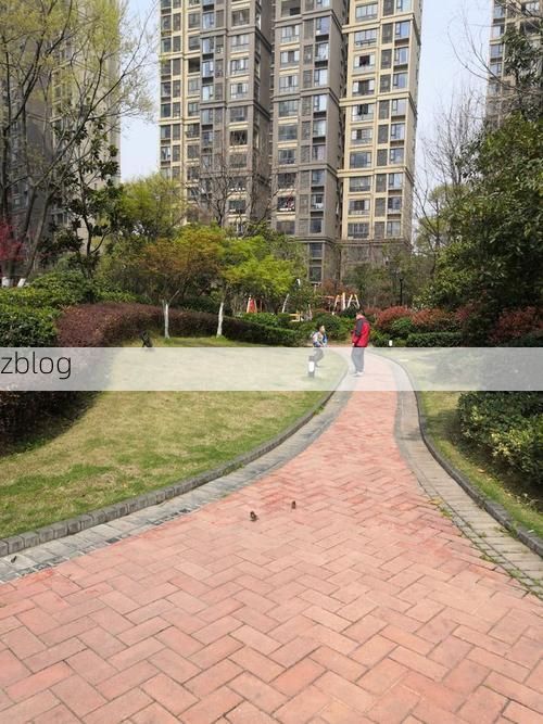 洪山区城中村结构下的疫情扩散与防控逻辑_37443