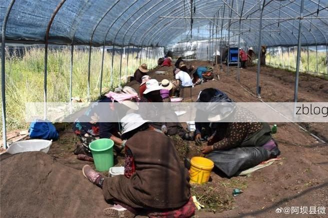 2022年8月25日阿坝县新增确诊病例情况_96820