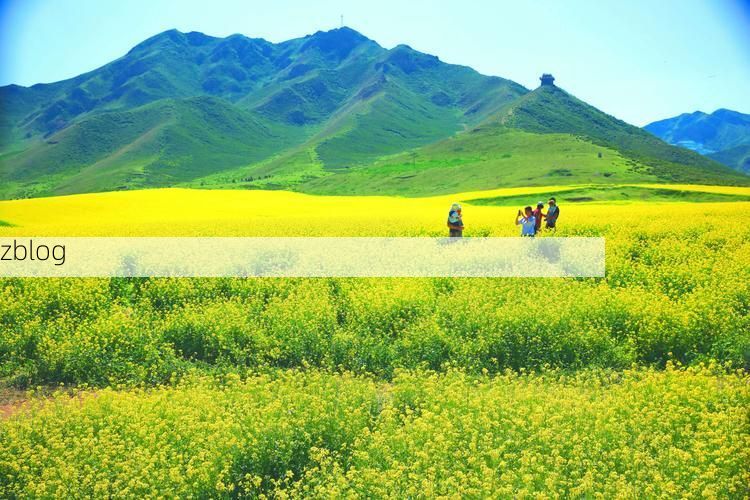 民乐县：河西走廊风口上的零感染坚守_70634