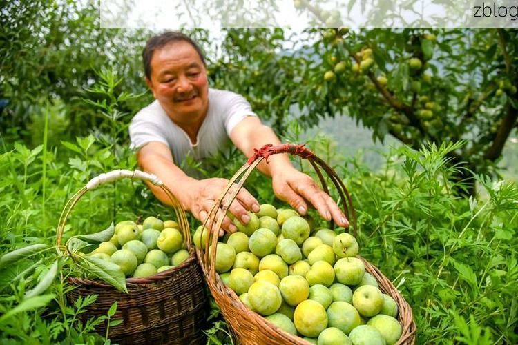 巴中市：秦巴山区的疫情防线与防控逻辑