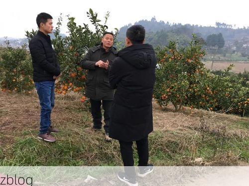 【资中血橙之乡的防疫坚守：丘陵地貌下的疫情阻击战】