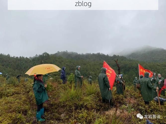 长汀：闽西山区屏障下的低感染样本观察